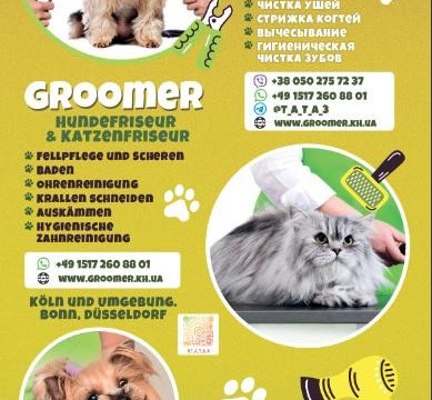 Зображення-WhatsApp-дата_-2025-05-04-о-20.10.19_628f2754
